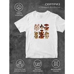 Футболка размер XXL, белый