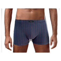 Трусы Gentlemen, размер L, синий