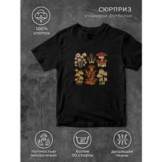 Футболка размер 4XL, черный