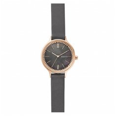 Наручные часы SKAGEN SKW2909