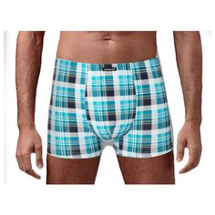 Трусы Gentlemen Collection, размер L, голубой