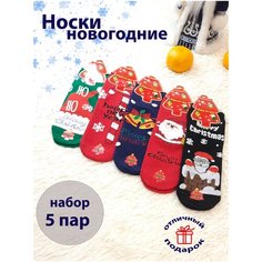 Носки МАСТЕР ХЛОПКА 5 пар, размер 31-37, мультиколор