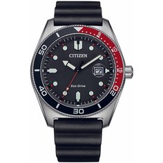 Наручные часы CITIZEN Eco-Drive AW1769-10E, черный