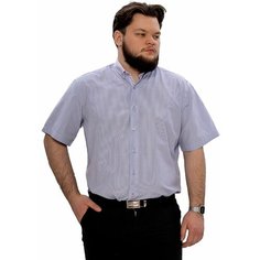 Рубашка Imperator, размер 50/L/178-186/41 ворот, фиолетовый