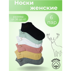 Носки МАСТЕР ХЛОПКА, 6 пар, размер 36-41, зеленый, белый, черный, розовый, мультиколор, бежевый