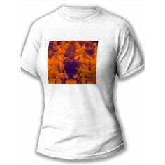 Футболка размер M, белый