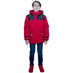 Куртка MIDIMOD GOLD, размер 122-128, бордовый