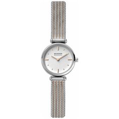 Наручные часы SKAGEN