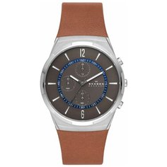 Наручные часы SKAGEN Melbye SKW6805, черный, серебряный