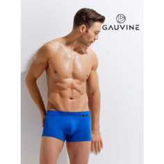 Трусы GAUVINE, размер XL, синий