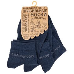 Носки Великоросс, 3 пары, размер 25, синий