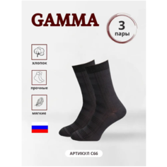 Носки ГАММА, 3 пары, размер 25, черный Gamma