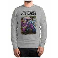 Свитшот DreamShirts Studio, размер XXL, серый