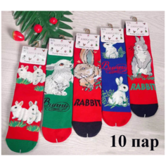 Носки , 10 пар, размер 36-41, мультиколор