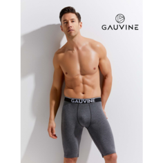 Трусы GAUVINE, размер M, серый