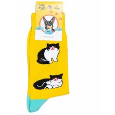 Носки St. Friday Коты и кошки, размер 38-41, черный