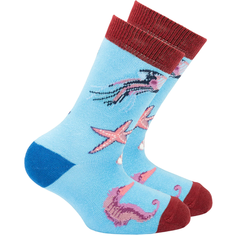 Носки Socks n Socks размер 1-5 US, бордовый, голубой
