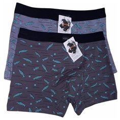 Трусы Tonmas, 2 шт., размер L(46-48), серый, синий