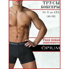 Трусы Opium, размер XXXL, серый