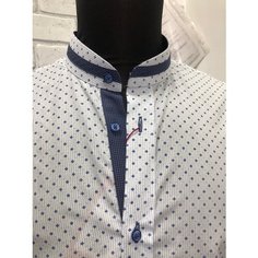 Рубашка Vester, размер 40/170, мультиколор