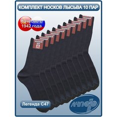 Носки ЛЧПФ, 10 пар, размер 27(41-43), черный