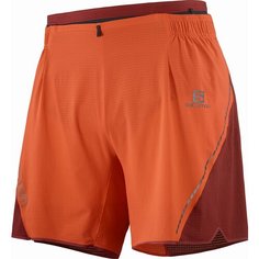 Шорты Salomon, размер L, бордовый, красный
