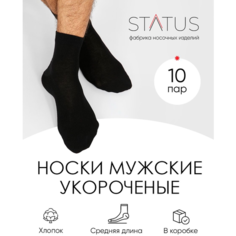Носки STATUS, 10 пар, размер 25, черный