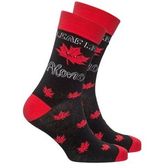 Носки Socks n Socks, размер 7-12 US / 40-45 EU, черный, мультиколор, красный