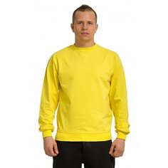 Свитшот Магазин Толстовок, размер 2XL-54-Unisex-(Мужской), желтый