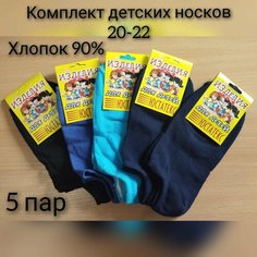 Носки Юстатекс 5 пар, размер 20-22, мультиколор