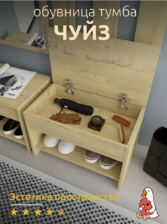 Обувница Чуйз, бежевая 60х35х40 см No Brand