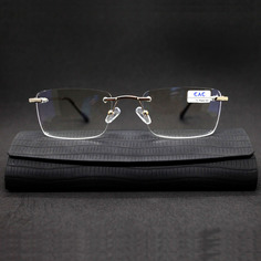 Безободковые очки EAE 1037 +2.00, c футляром, антиблик, цвет золотой, РЦ 62-64