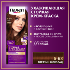Стойкая крем-краска для волос Палетт Интенсивный цвет 6-68 (LW3) Горячий шоколад, 110 мл