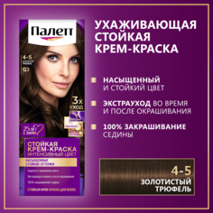 Стойкая крем-краска для волос Палетт Интенсивный цвет 4-5 (G3) Золотистый трюфель, 110 мл