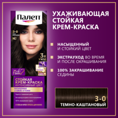 Стойкая крем-краска для волос Палетт Интенсивный цвет 3-0 (N2) Тёмно-каштановый, 110 мл