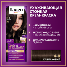 Стойкая крем-краска для волос Палетт Интенсивный цвет 4-0 (N3) Каштановый, 110 мл