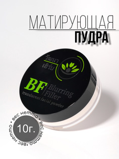 Матирующая пудра для лица Blurring Filler прозрачная 10г Wattana Herb