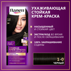 Стойкая крем-краска для волос Палетт Интенсивный цвет 1-0 (N1) Чёрный, 110 мл