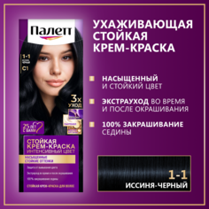 Стойкая крем-краска для волос Палетт Интенсивный цвет 1-1 (C1) Иссиня-черный, 110 мл