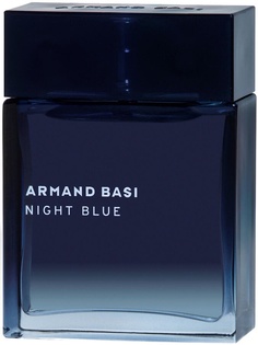 Туалетная вода Armand Basi Night Blue 100 мл