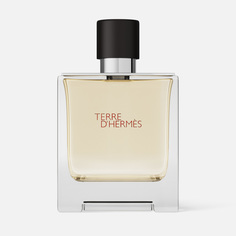 Вода парфюмерная Hermes Terre, мужская, 75 мл