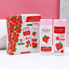 Подарочный набор женский «Сочного настроения!», гель для душа, 250 мл и шампунь, 250 мл Чистое счастье