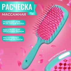 Расческа массажная, широкая, вентилируемая, 8,5 x 20,5 см, PVC коробка, цвет бирюзовый/роз Queen Fair