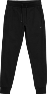 Спортивные брюки мужские 4F 4FAW23TTROM451-20S черные S