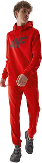 Спортивные брюки мужские 4F 4FAW23TTROM451-62S красные S