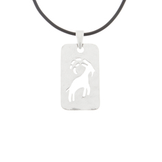 Кулон Jenavi b2413990