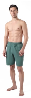 Спортивные шорты мужские Kari 225481 зеленые S