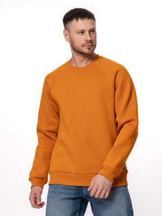Свитшот мужской NCF SWEATSHIRT коричневый L