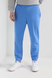 Спортивные брюки мужские COLORPLAY CP23122386-005 синие XL