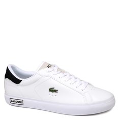 Кеды мужские Lacoste 747SMA0082 белые 46.5 EU